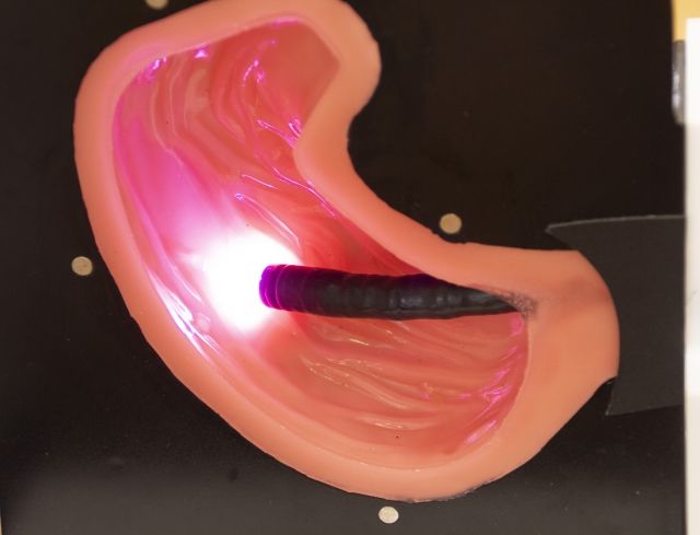 胃カメラを再現する模型