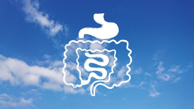 大腸ポリープって病気なの？