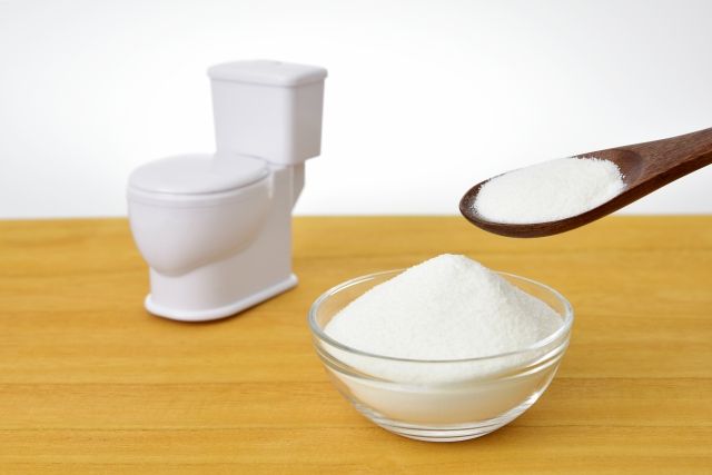 トイレの置物と食物繊維
